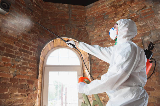 Best Mold Remediation for Healthcare Facilities  in Batavia, NY